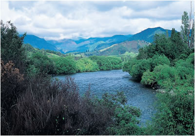 The Motueka River as it is today
